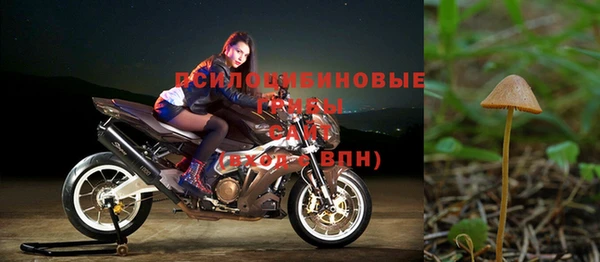 a pvp Алексеевка